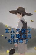 《夏惜之慕南舟》夫人不好了，总