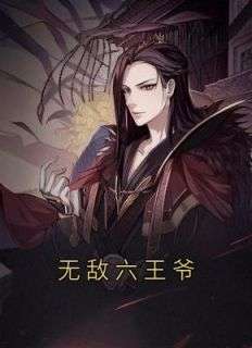 无敌六王爷