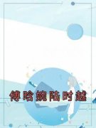 傅晗婉陆时越完整版在线阅读（主