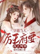《司慕雪顾玄澈》完结版精彩试读