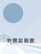 许棠沈确宴小说全集免费免费试读