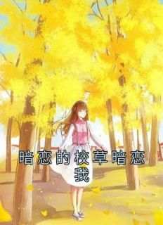 暗恋的校草暗恋我