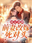 主角是沈曼萧铎的小说 《协议到期