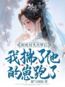 《沈献音赫连丞》小说全文精彩试