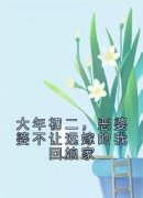 陈云刘霖大结局在线阅读 大年初二