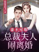 妻不可欺：总裁夫人闹离婚小说精