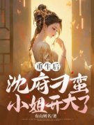 重生后，沈府刁蛮小姐开大了小说
