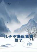 儿子不满后我摆烂了全章节免费在