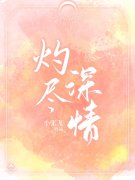 灼尽深情云珞傅延迟小说在线全文