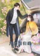 月的回归线完整版 沈月张杨全章节