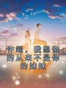 《许希辞许翊》小说免费阅读 第四
