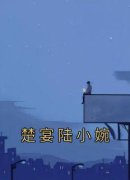 楚宴陆小婉小说全文精彩章节免费