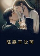 《陆霖丰沈苒》小说完结版精彩阅