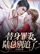 林若影陆北爵全文在线阅读 替身罪