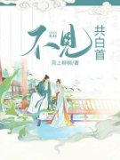 姜娴秦淮不见共白首小说全文阅读