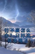 《打不赢怎么办？只好选择攻略了