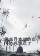 阮婳青岚修真界大佬的白月光复活