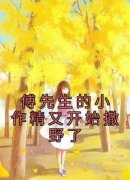 《傅君辞苏慕晚》傅先生的小作精