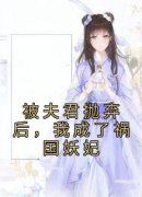 《阿清迟砚舟》小说章节免费试读