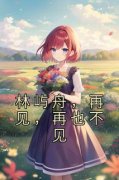 《林屿舟，再见，再也不见》小说