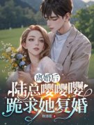 《离婚后，陆总嘤嘤嘤跪求她复婚