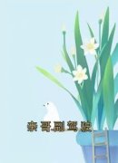 《陈朵朵陈俊》小说大结局免费试