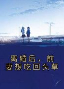 寒江雪徐怀安离婚后，前妻想吃回