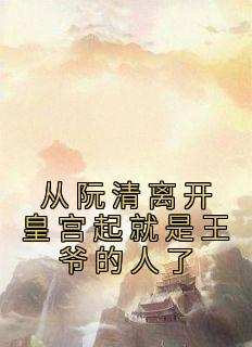 从阮清离开皇宫起就是王爷的人了
