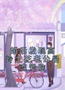 婚后发现高岭之花老公是恋爱脑婚