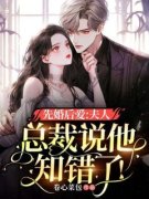 宁珂江景渊先婚后爱：夫人，总裁