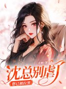 主角叫宋锦书沈厌小说沈总别虐了