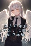 《过去四年对不起，以后，祝你幸