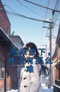 原来放下，并没有那么难精彩章节