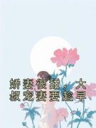 《苏诺诺顾承厉》小说免费试读 《