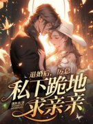 退婚后，厉总私下跪地求亲亲小说