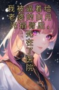 《安悦宋浩宇》小说章节列表免费