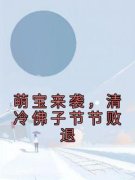 南宫似华南宫清梨萌宝来袭，清冷