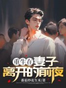 《重生在妻子离开的前夜》林飞许
