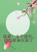 《许锦意李瑾辰》小说全集免费在