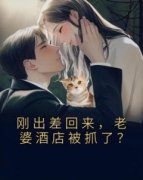 《刚出差回来，老婆酒店被抓了？