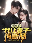 《龙飞徐幼雨》小说大结局精彩阅