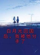 《白月光回国后，我被他分手了》
