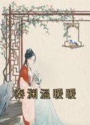 秦渊温暖暖最新章节免费阅读（完