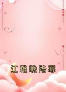 《江稚晚陆寒》完结版精彩阅读 第
