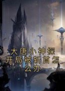 宋真狄仁杰主角大唐小神探开局被