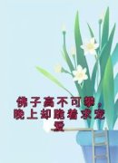 商凛南初全本资源下载APP 佛子高不