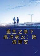 《安枝季遇之》重生之拿下高冷老