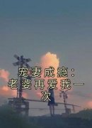 《宠妻成瘾：老婆再爱我一次》小