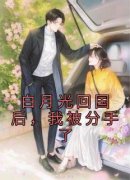 [白月光回国后，我被分手了]叶歌乔