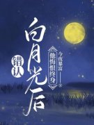 阮绵绵唐靳川小说全文在线阅读 错